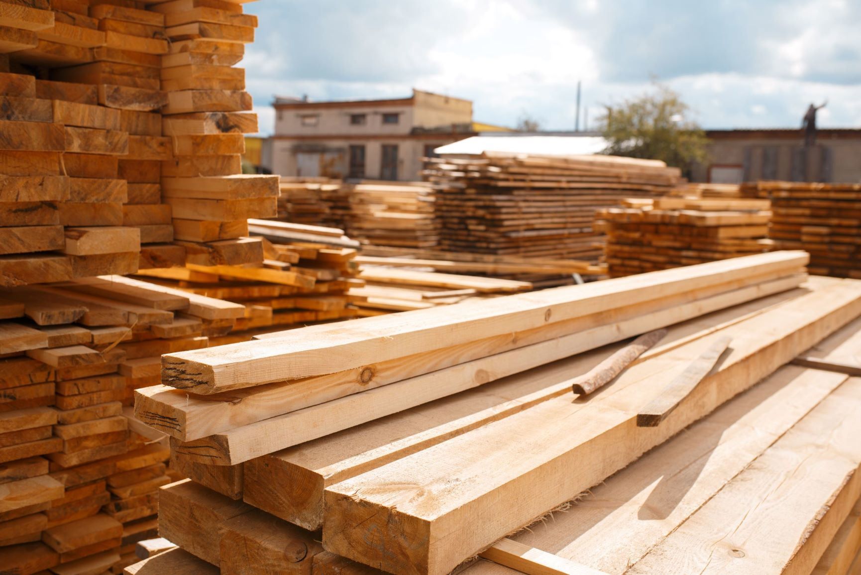 The Ultimate Guide to Choosing the Right Timber for Your Project